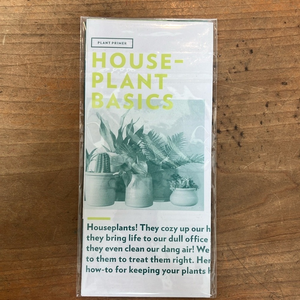 Houseplant Basics Guide